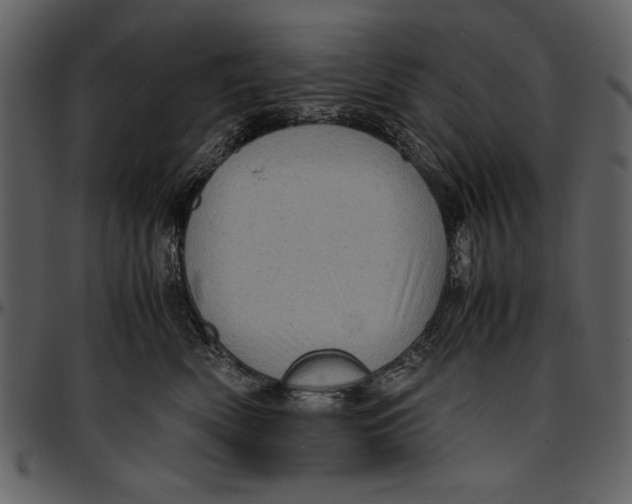 X0000096940522200802291036