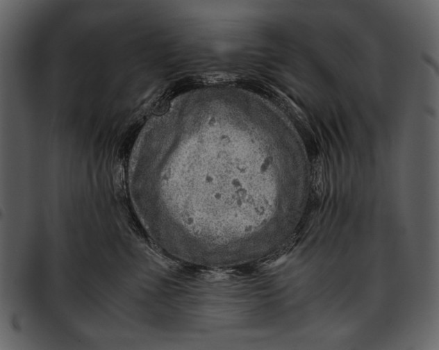 X0000096940523200802291036