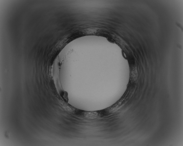 X0000096940525200802291036