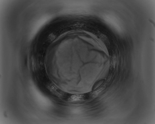 X0000096940526200802291036