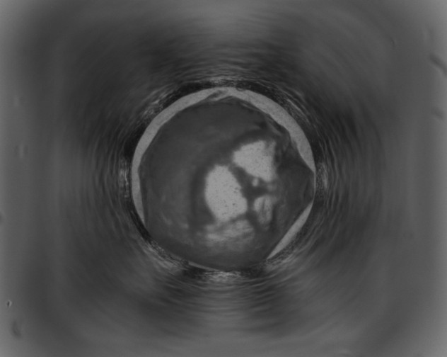 X0000096940527200802291036