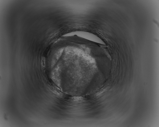 X0000096940528200802291036