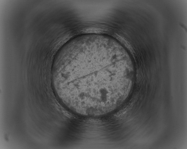 X0000096940529200802291035