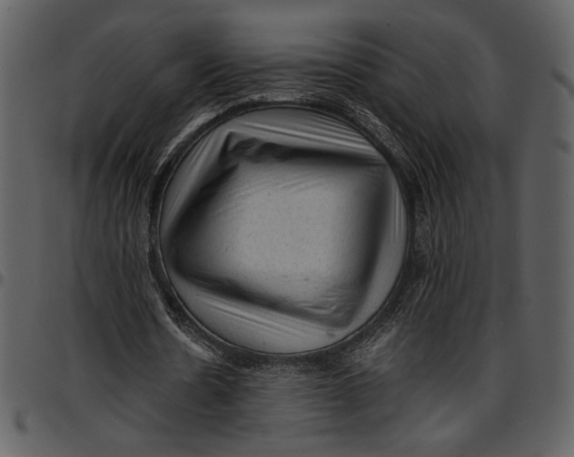 X0000096940530200802291035