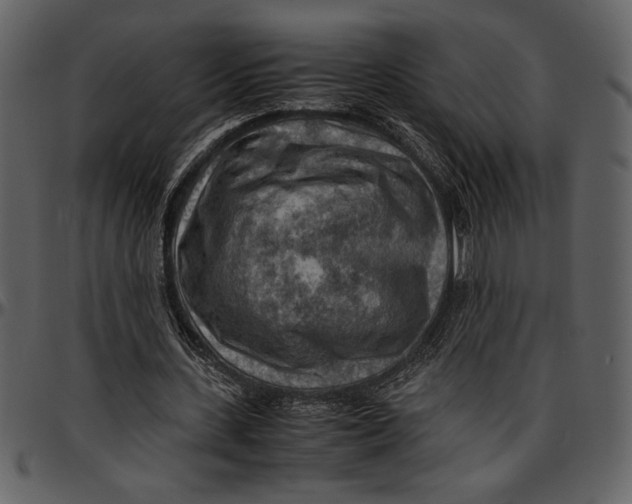 X0000096940531200802291035