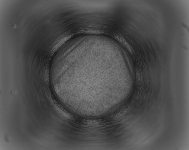 X0000096940533200802291035