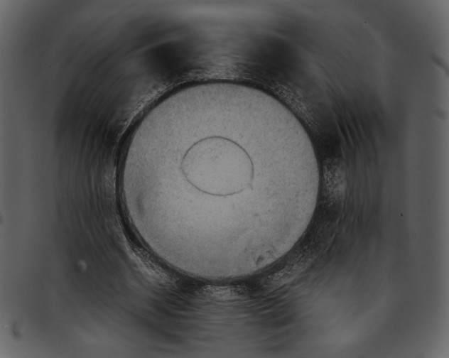 X0000096940534200802291035