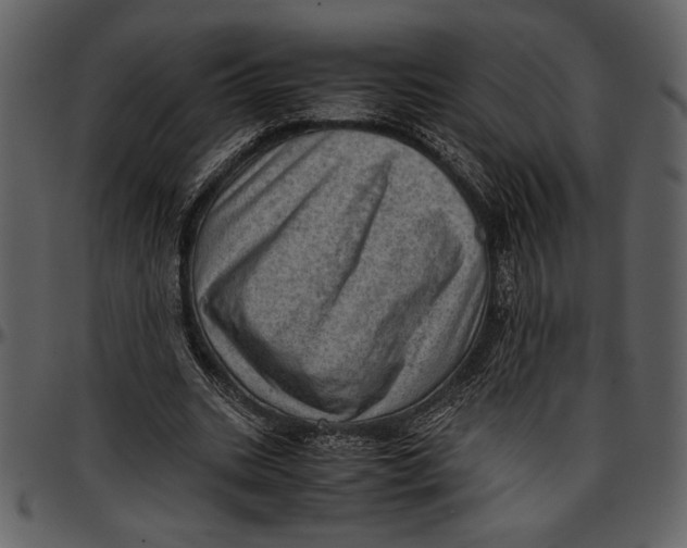 X0000096940535200802291035