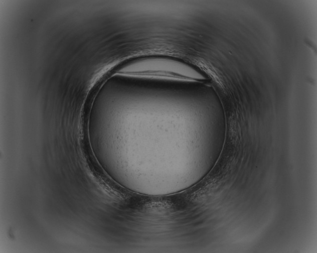 X0000096940536200802291035