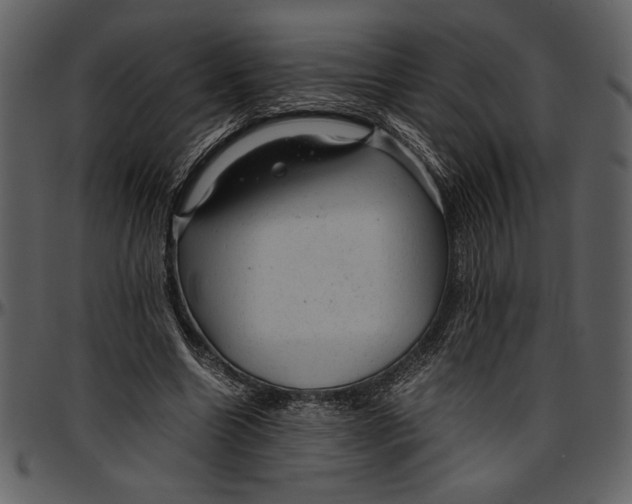 X0000096940538200802291035