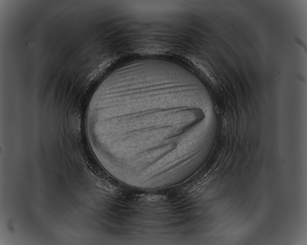 X0000096940539200802291035