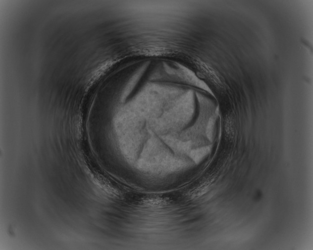 X0000096940540200802291035