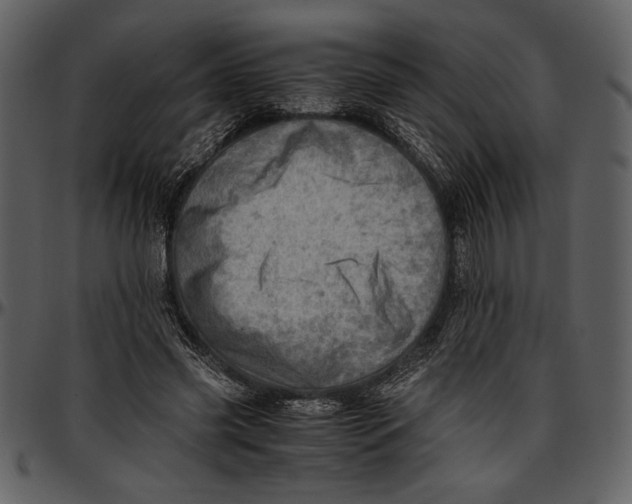 X0000096940541200802291035