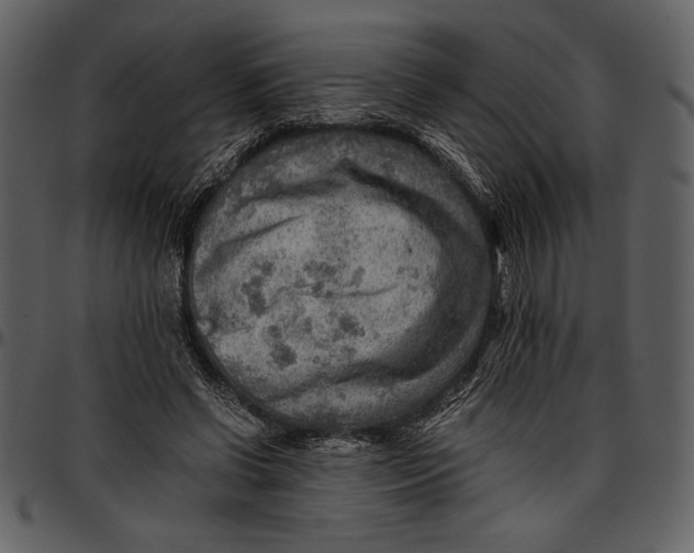 X0000096940542200802291035