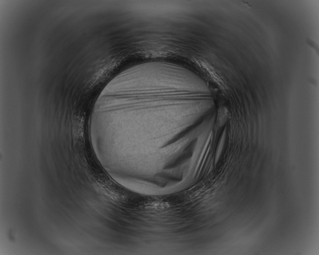 X0000096940543200802291035