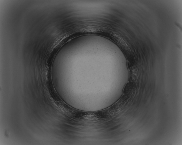 X0000096940544200802291035