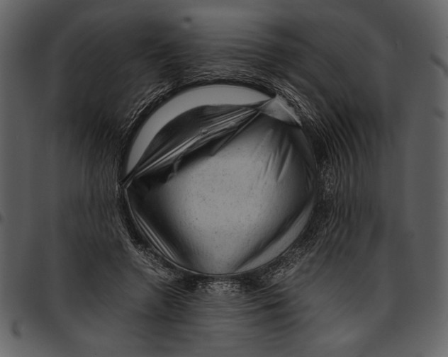 X0000096940546200802291035