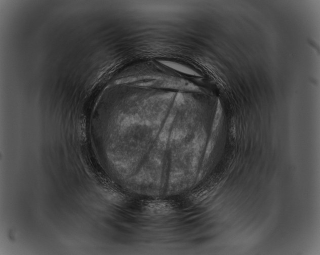 X0000096940547200802291035