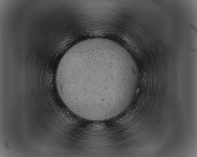 X0000096940548200802291035