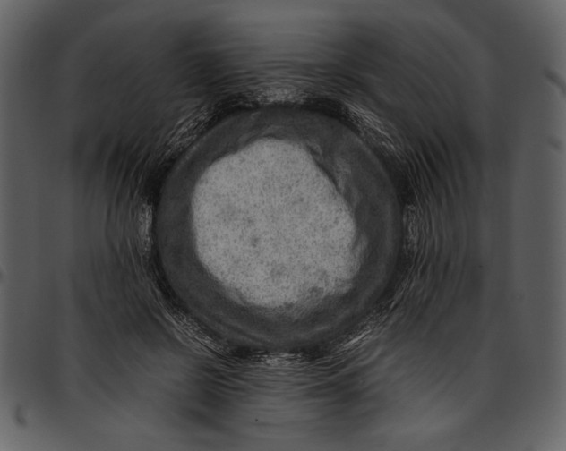 X0000096940550200802291035