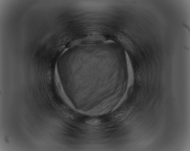 X0000096940551200802291035