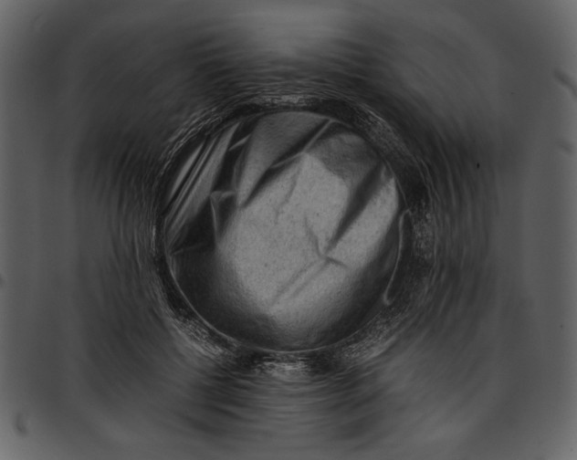 X0000096940552200802291035