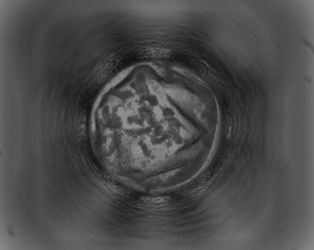 X0000096940553200802291035