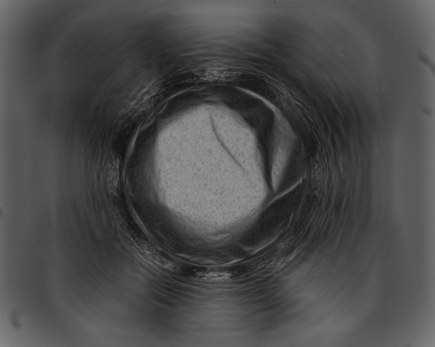 X0000096940554200802291035