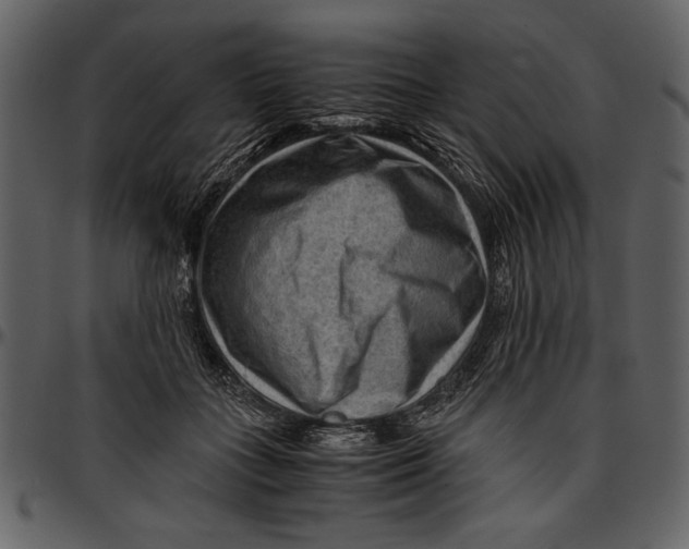 X0000096940555200802291035