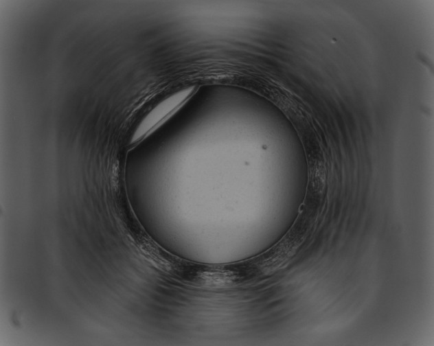 X0000096940556200802291035