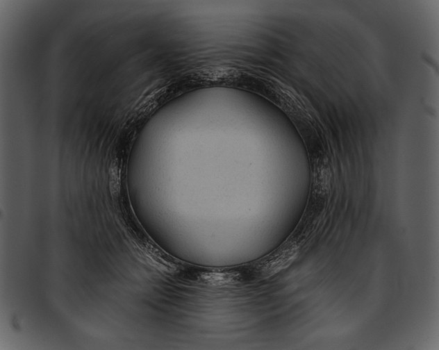 X0000096940558200802291035