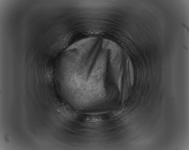 X0000096940559200802291035