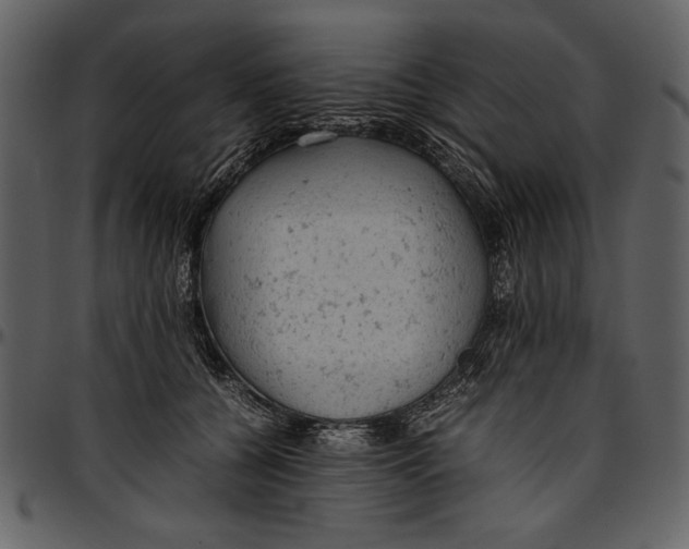 X0000096940560200802291035