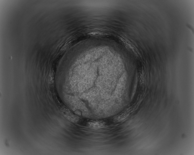 X0000096940561200802291035