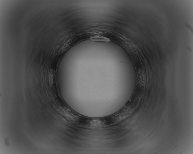 X0000096940562200802291035