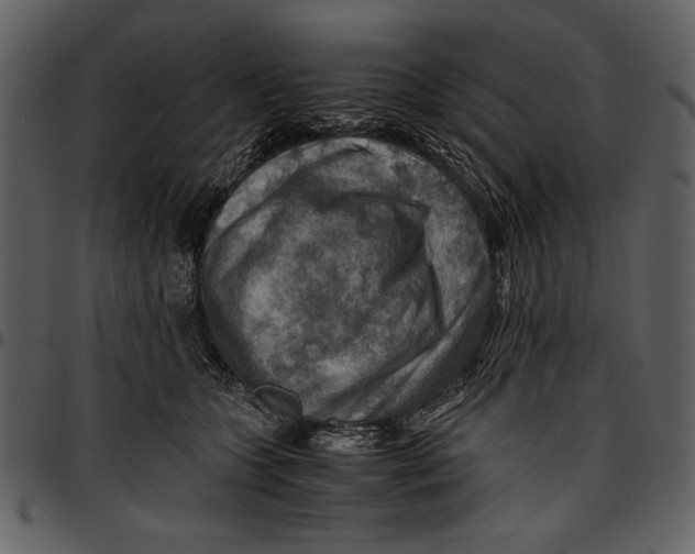 X0000096940563200802291036