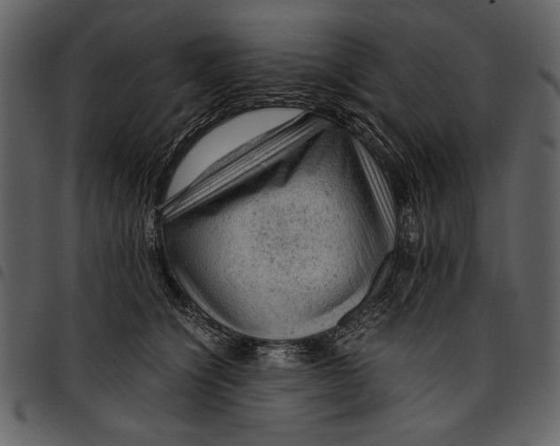 X0000096940564200802291036