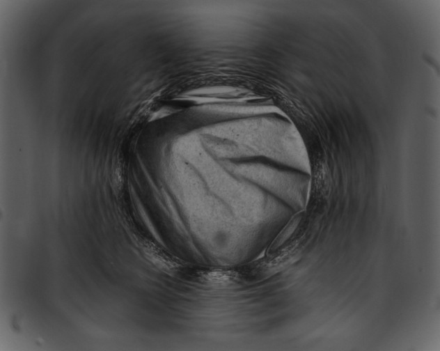 X0000096940566200802291036