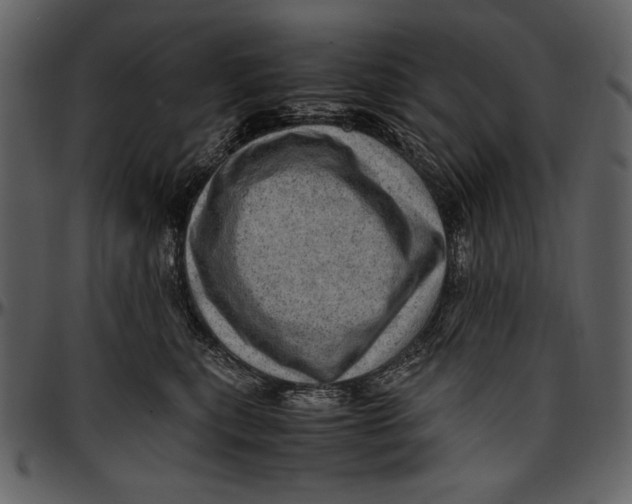 X0000096940567200802291036