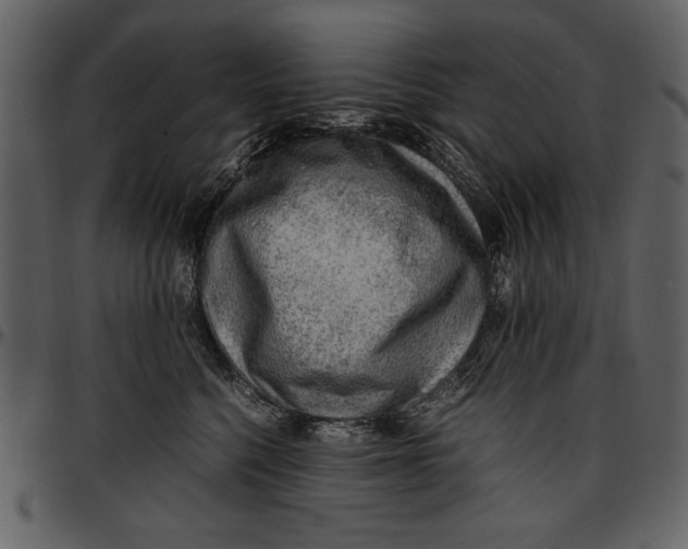 X0000096940568200802291036