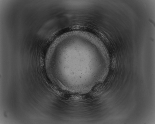 X0000096940569200802291036