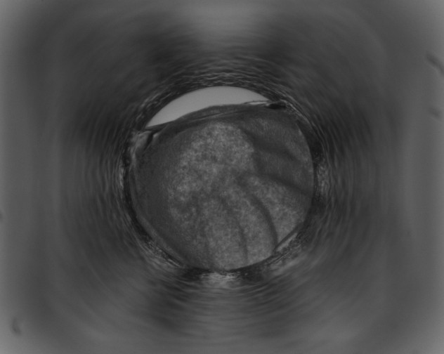 X0000096940570200802291036