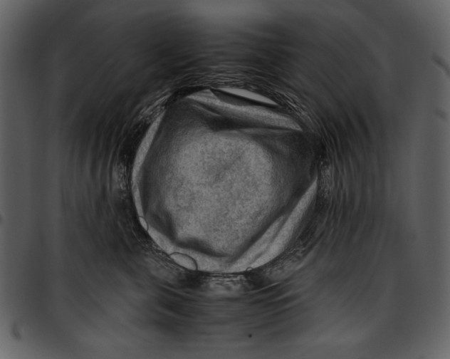 X0000096940571200802291036