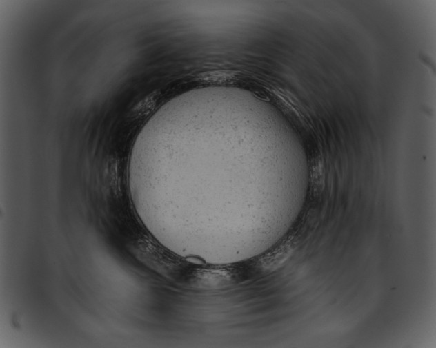 X0000096940572200802291036