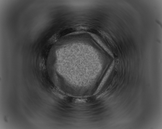 X0000096940573200802291036