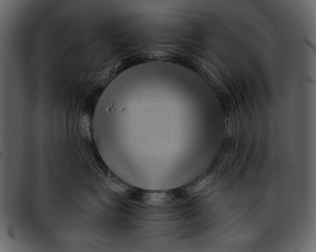 X0000096940575200802291036