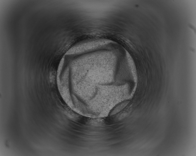 X0000096940576200802291036