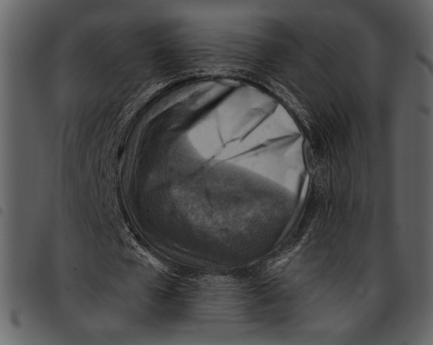 X0000096940577200802291035