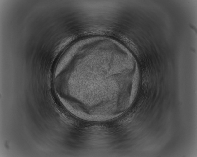 X0000096940578200802291035