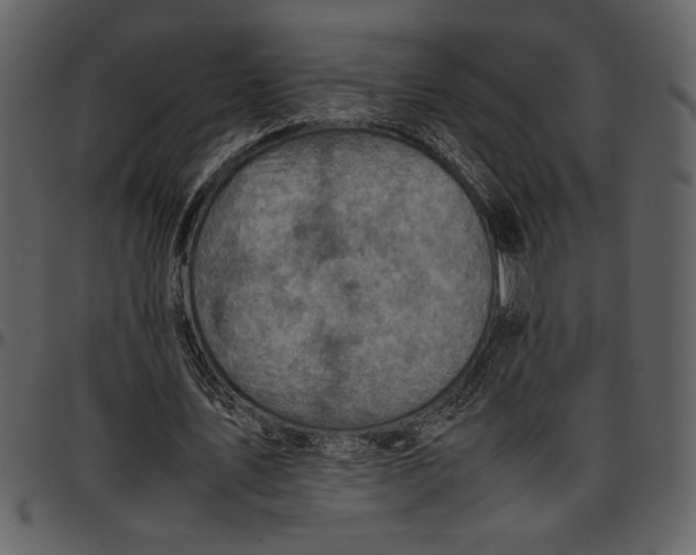 X0000096940579200802291035